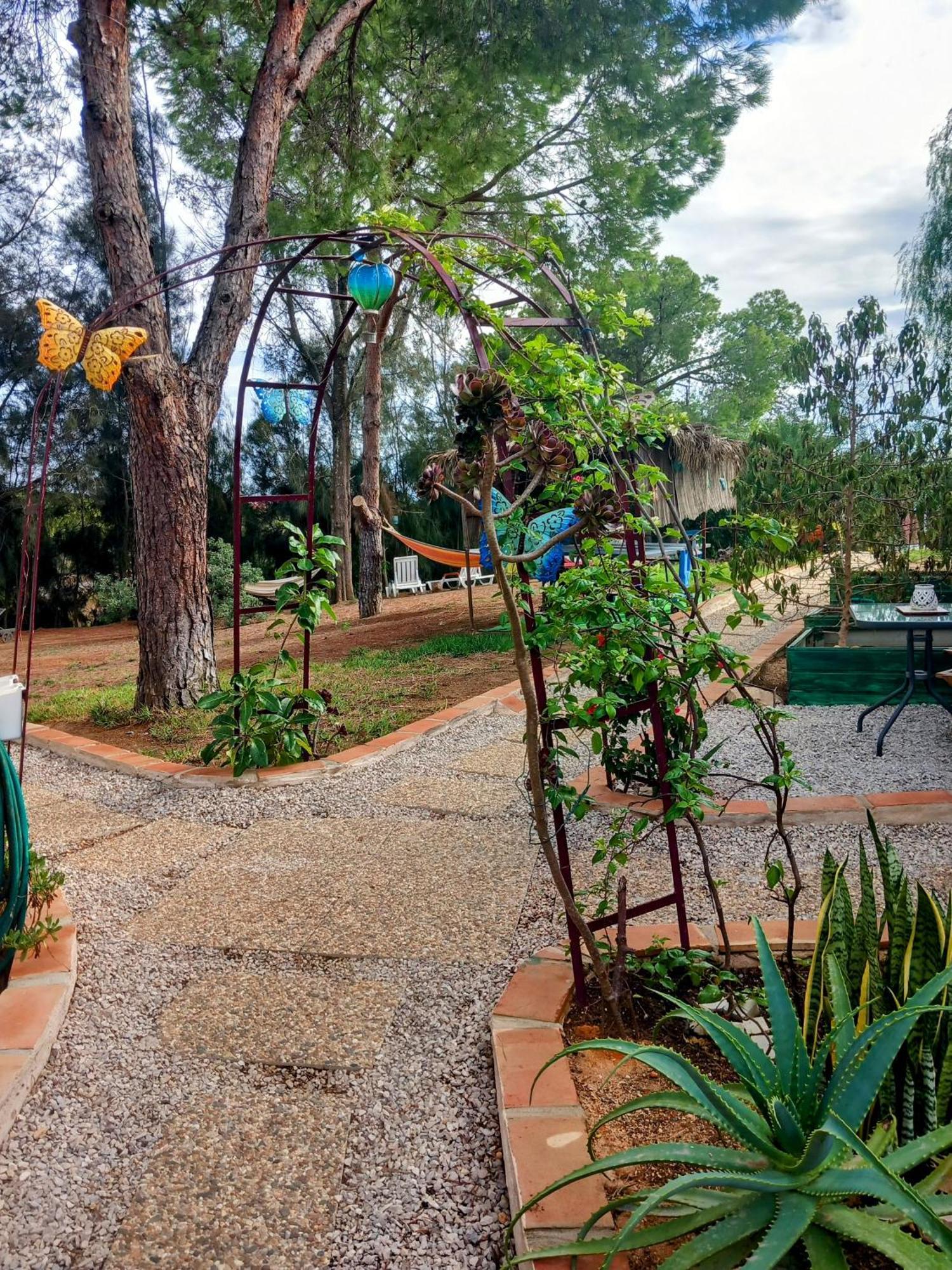 Boheme Valdareina, Piscine Chauffee, Benagil-Carvoeiro Apartment การ์วอยโร ภายนอก รูปภาพ